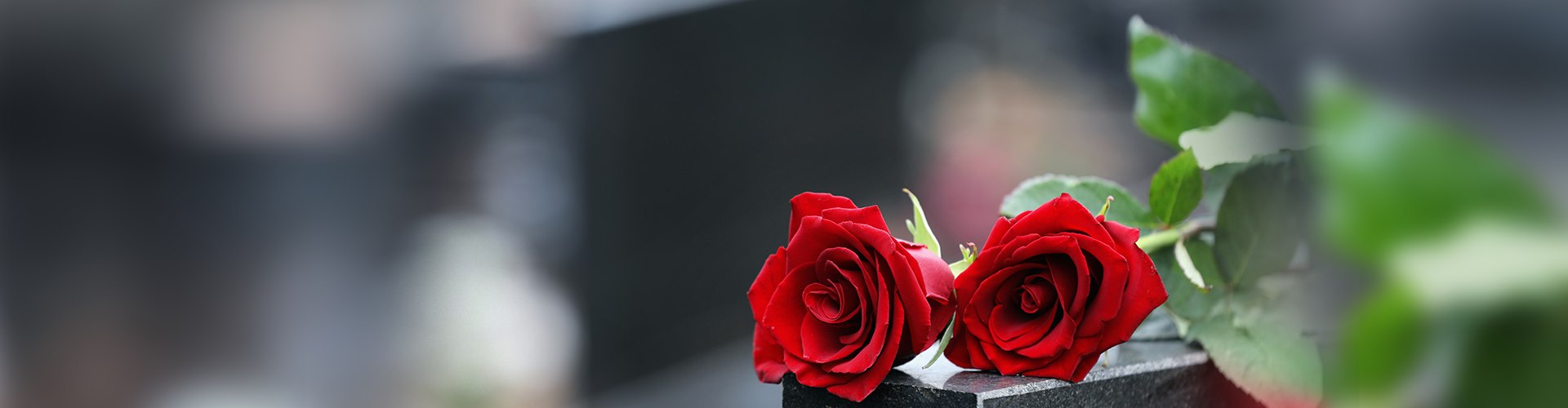 Организация похорон <br>+7(910) 7797116<br>+7(49245) 2-15-11